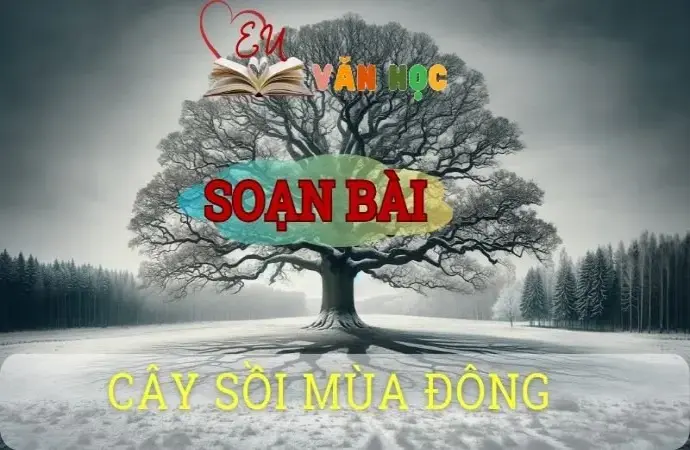 Soạn bài Cây sồi mùa đông - ngữ văn 8 tập 2 - sách Chân trời sáng tạo