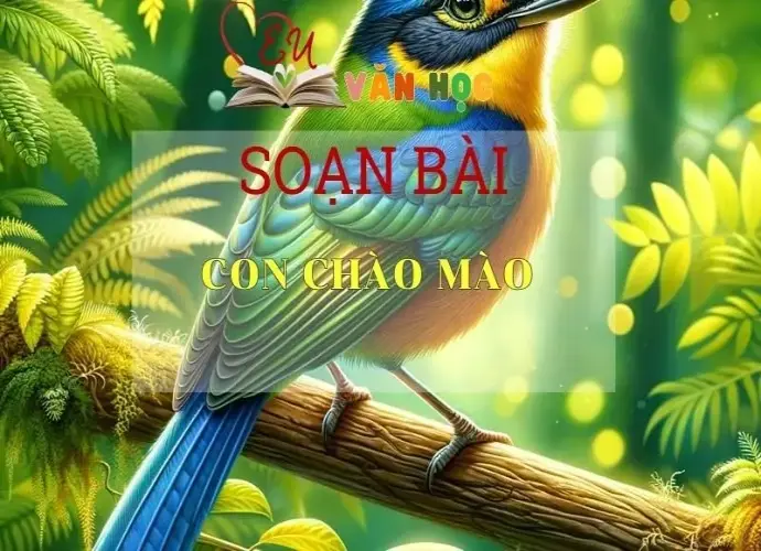 Soạn bài Con chào mào Ngữ văn 6 tập 1 Kết nối tri thức