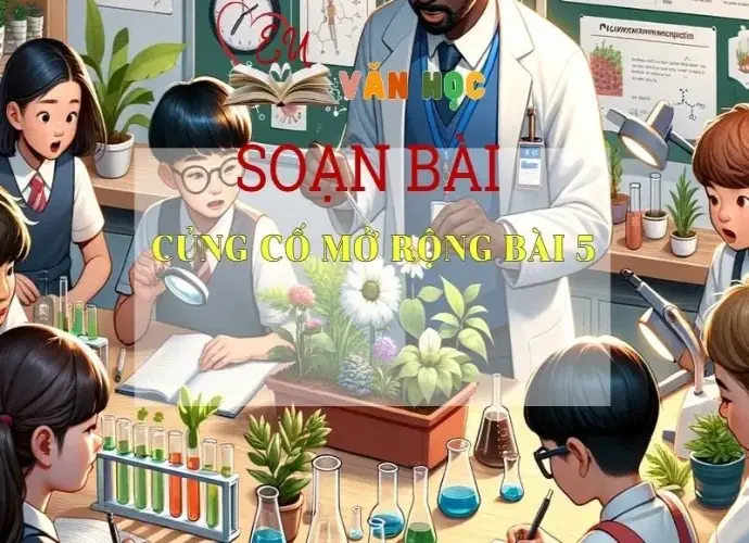Soạn bài Củng cố mở rộng bài 5 Ngữ văn 6 Tập 1 - Kết nối tri thức