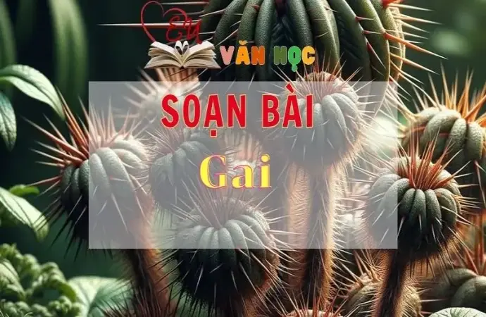 Soạn bài Gai - Sách Chân trời sáng tạo lớp 11