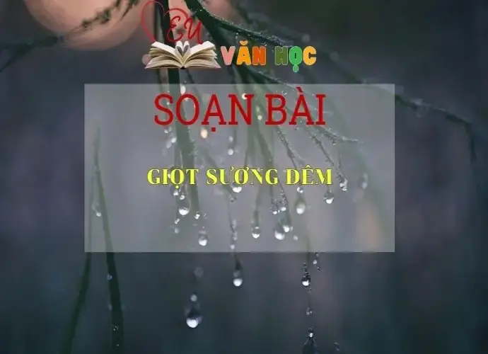 Soạn bài Giọt Sương Đêm - Sách Chân Trời Sáng Tạo Ngữ Văn 6