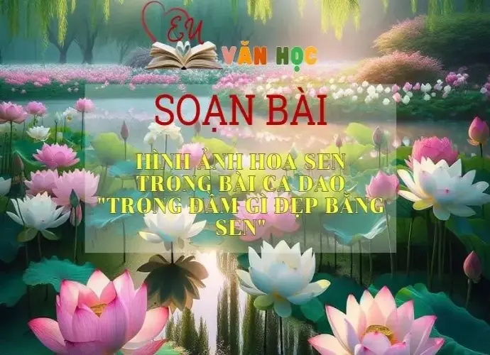 Soạn bài Hình ảnh hoa sen trong bài ca dao Trong đầm gì đẹp bằng sen - Sách Chân trời sáng tạo Ngữ Văn 7