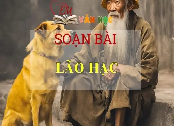 Soạn bài Lão Hạc - Ngữ văn 8