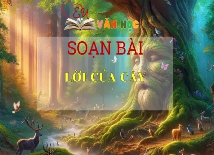 Soạn bài Lời của cây - Sách Chân trời sáng tạo Ngữ Văn 7