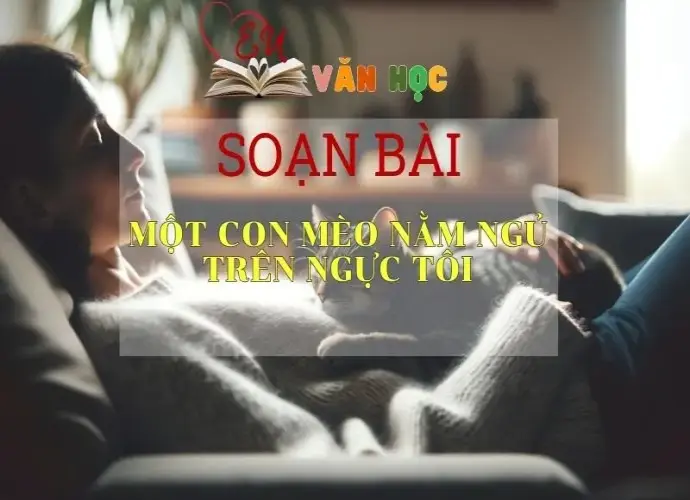 Soạn bài Một con mèo nằm ngủ trên ngực tôi - Sách Chân trời sáng tạo lớp 7