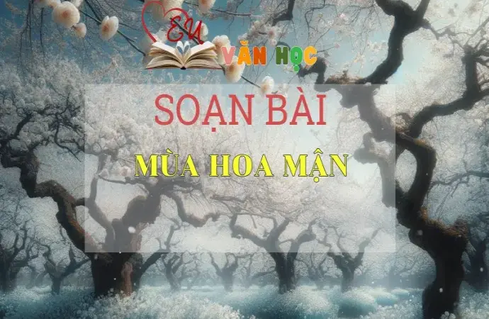 SOẠN BÀI MÙA HOA MẬN - SÁCH CÁNH DIỀU LỚP 10 TẬP 2