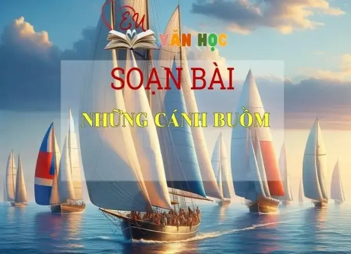 Soạn bài Những Cánh Buồm - Sách Chân Trời Sáng Tạo Ngữ Văn 6 (tập 2)