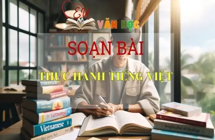 Soạn bài Thực hành tiếng Việt - Sách Cánh Diều Lớp 11