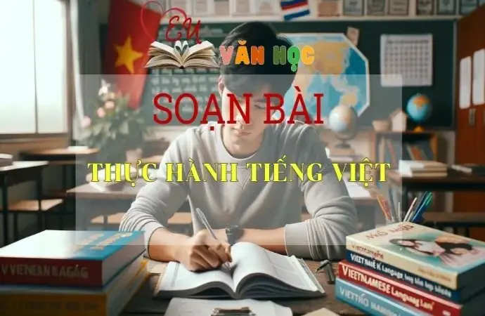 Soạn bài Thực hành tiếng Việt - Sách Cánh Diều Lớp 11