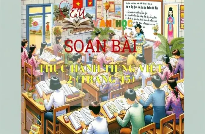 Soạn bài Thực hành Tiếng Việt 2 - Sách Chân trời sáng tạo trang 45 Ngữ Văn 11 tập 1