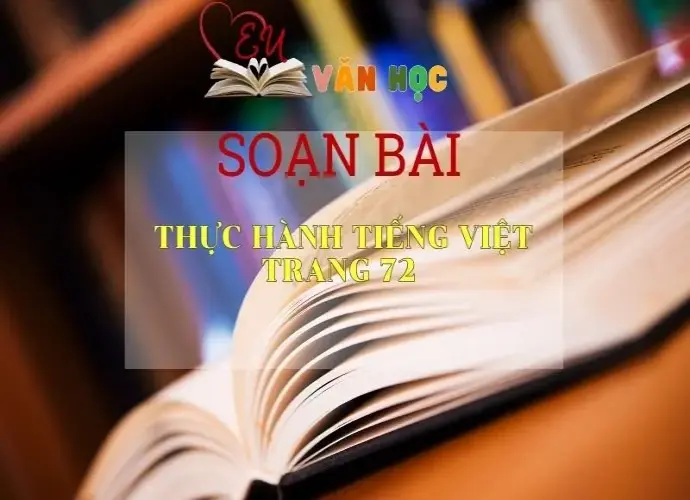 Soạn bài Thực hành tiếng Việt trang 72 - Kết nối tri thức - Ngữ văn lớp 7 tập 1