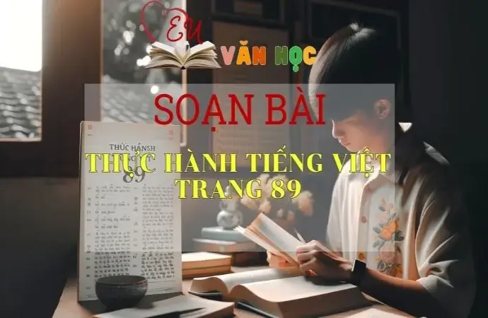 SOẠN VĂN BÀI THỰC HÀNH TIẾNG VIỆT TRANG 89 - SÁCH KẾT NỐI TRI THỨC LỚP 11 TẬP 1