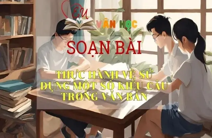 Soạn bài Thực hành về sử dụng một số kiểu câu trong văn bản - Ngữ Văn Lớp 11