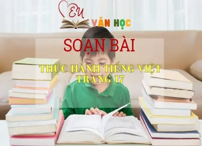 Thực hành tiếng Việt (Trang 17)- Kết nối tri thức - Ngữ văn lớp 7 tập 1