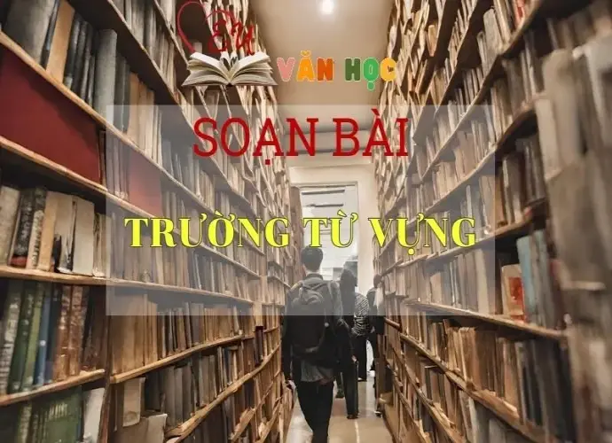 Soạn bài Trường từ vựng - Ngữ văn 8