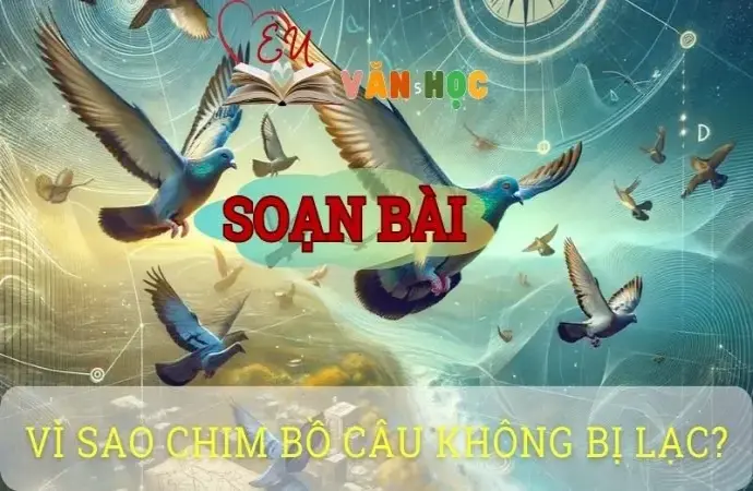 Soạn bài Vì sao chim bồ câu không bị lạc đường? - Ngữ văn 8 tập 1 Cánh diều