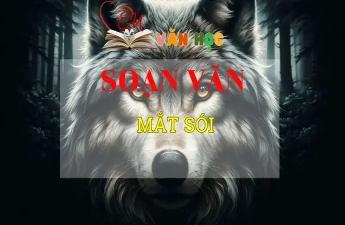 Soạn bài Mắt sói - Ngữ văn 8 Kết nối tri thức