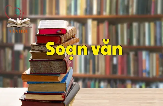 Soạn bài Thực hành tiếng Việt trang 100 - Ngữ văn 9 tập 2 - Kết nối tri thức