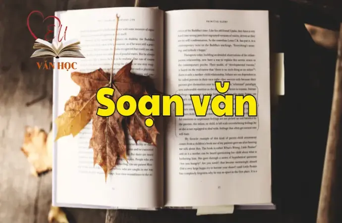 Soạn bài Củng cố, mở rộng trang 58- Ngữ văn 12 tập 2 - Kết nối tri thức