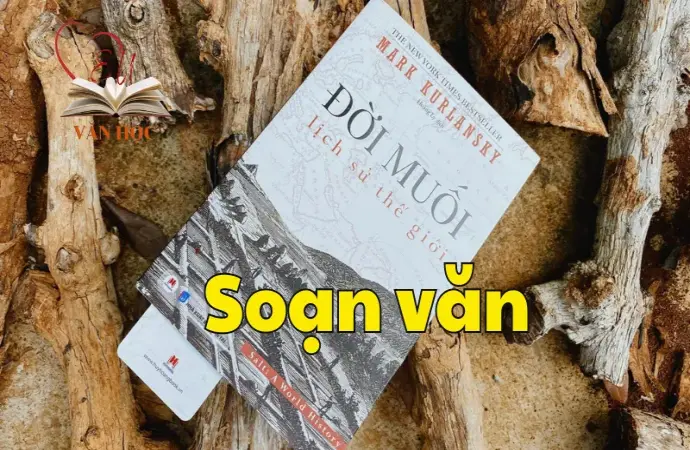 Soạn bài Đời muối - Ngữ văn 12 tập 2 - Kết nối tri thức