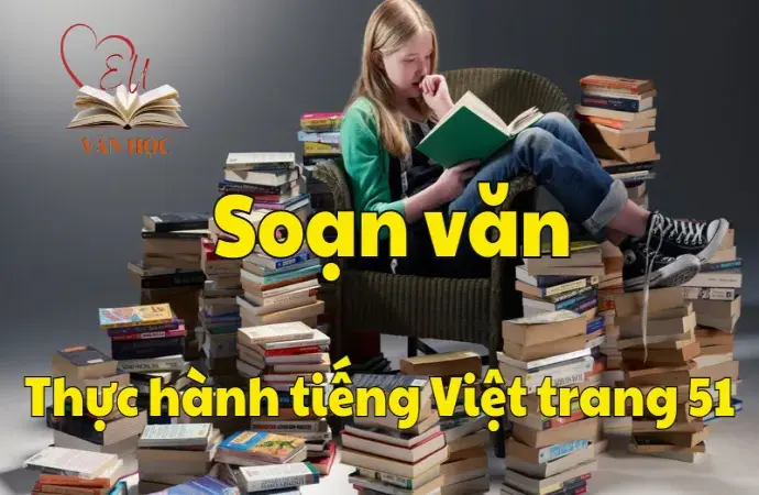 Soạn bài Thực hành tiếng Việt trang 51 - Ngữ văn 12 tập 1 - Kết nối tri thức