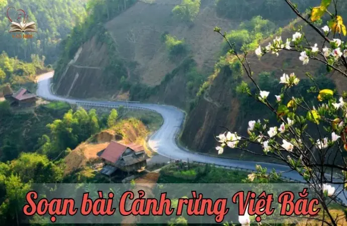 Soạn bài Cảnh rừng Việt Bắc - Ngữ văn lớp 12 Chân trời sáng tạo (Tập 2)