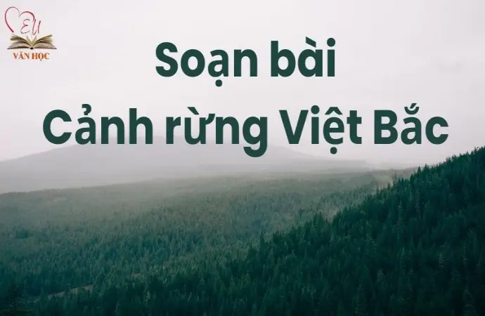 Soạn bài Cảnh rừng Việt Bắc - Cánh diều 12