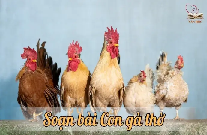 Soạn bài Con gà thờ - Ngữ văn lớp 12 chân trời sáng tạo (Tập 1)