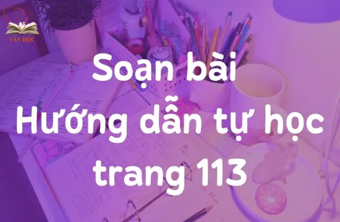 Soạn bài Hướng dẫn tự học trang 113 - Cánh diều 12