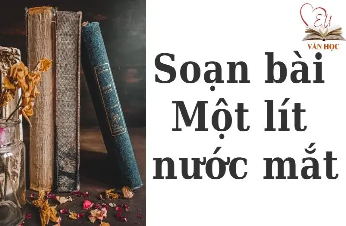 Soạn bài Một lít nước mắt - Cánh diều 12