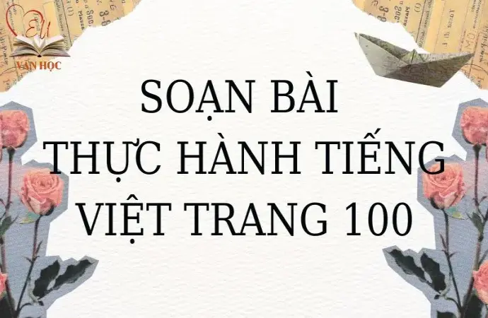 Soạn bài Thực hành tiếng Việt trang 100 - Cánh diều 12