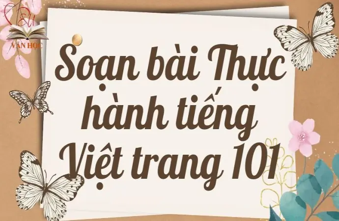 Soạn bài Thực hành tiếng Việt trang 101 - Kết nối tri thức Lớp 9