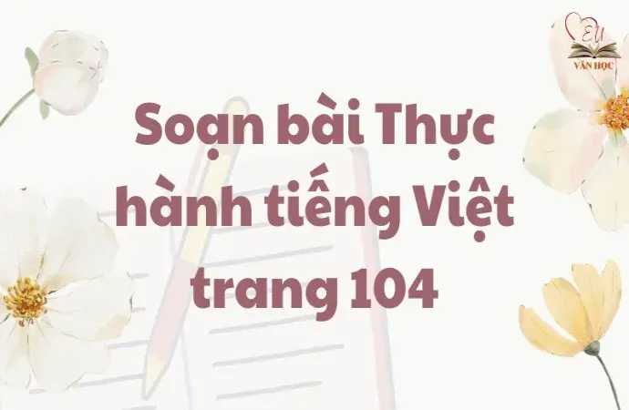 Soạn bài Thực hành tiếng Việt trang 104 - Ngữ văn lớp 9 Chân trời sáng tạo (Tập 2)