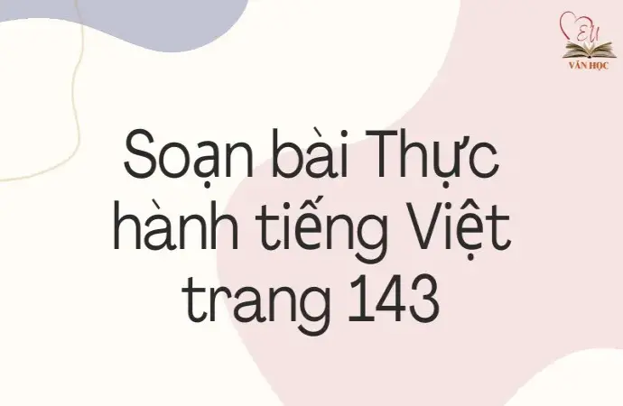 Soạn bài Thực hành tiếng Việt trang 143 - Ngữ văn lớp 12 Chân trời sáng tạo (Tập 1)