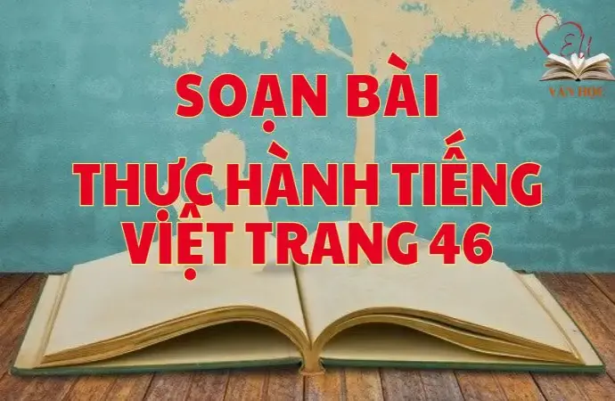 Soạn bài Thực hành tiếng Việt trang 46 - Kết nối tri thức Lớp 9