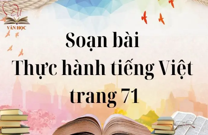 Soạn bài Thực hành tiếng Việt trang 71 - Cánh diều 12