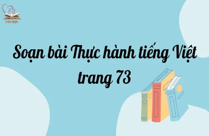 Soạn bài Thực hành tiếng Việt trang 73 - Ngữ văn lớp 12 Chân trời sáng tạo (Tập 2)