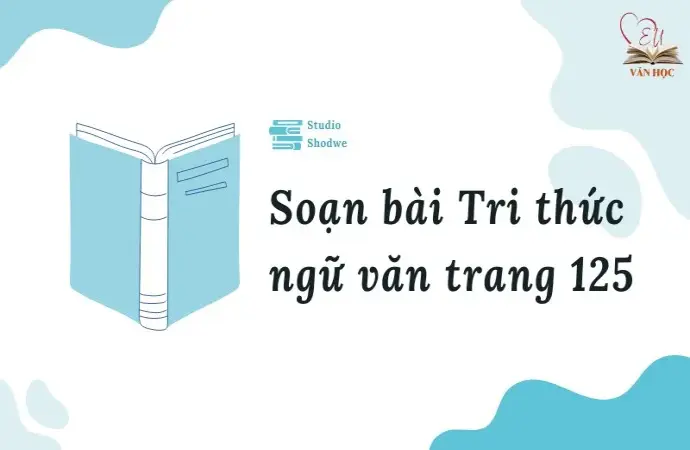 Soạn bài Tri thức ngữ văn trang 125 - Ngữ văn lớp 12 chân trời sáng tạo (Tập 1)