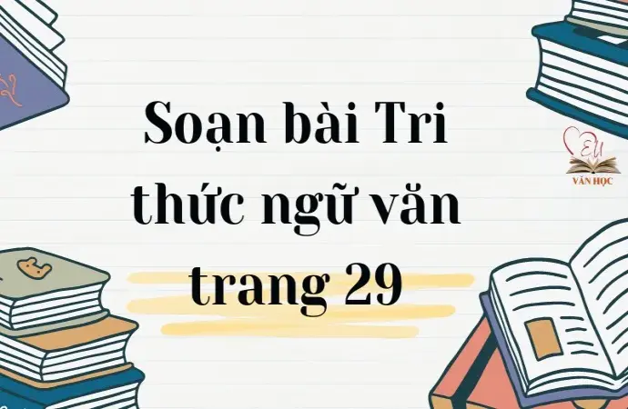 Soạn bài Tri thức ngữ văn trang 29 - Ngữ văn lớp 12 chân trời sáng tạo (Tập 1)