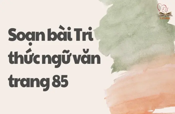 Soạn bài Tri thức ngữ văn trang 85 - Ngữ văn lớp 9 Chân trời sáng tạo (Tập 2)