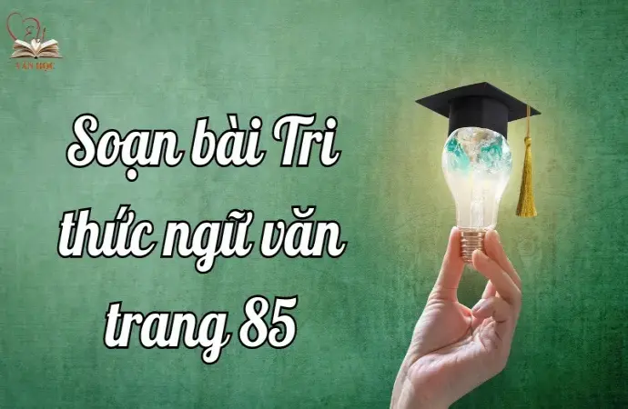 Soạn bài Tri thức ngữ văn trang 85 - Ngữ văn lớp 12 Chân trời sáng tạo (Tập 2)