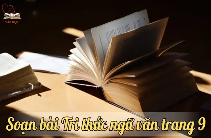 Soạn bài Tri thức ngữ văn trang 9 - Ngữ văn lớp 12 chân trời sáng tạo (Tập 1)