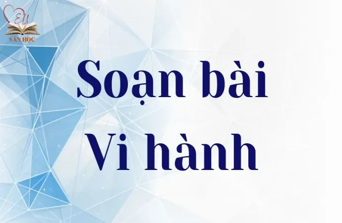 Soạn bài Vi hành - Cánh diều 12