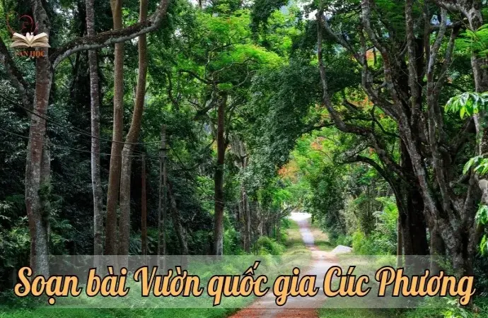 Soạn bài Vườn quốc gia Cúc Phương - Ngữ văn 9 chân trời sáng tạo (Tập 1)