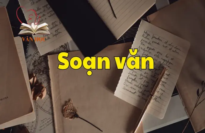 Soạn bài Thực hành tiếng Việt trang 114 - Ngữ văn 12 tập 1 - Kết nối tri thức