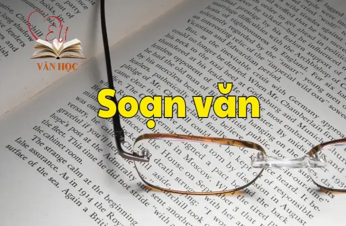 Soạn bài Thực hành tiếng Việt trang 50 - Ngữ văn 12 tập 2 - Kết nối tri thức