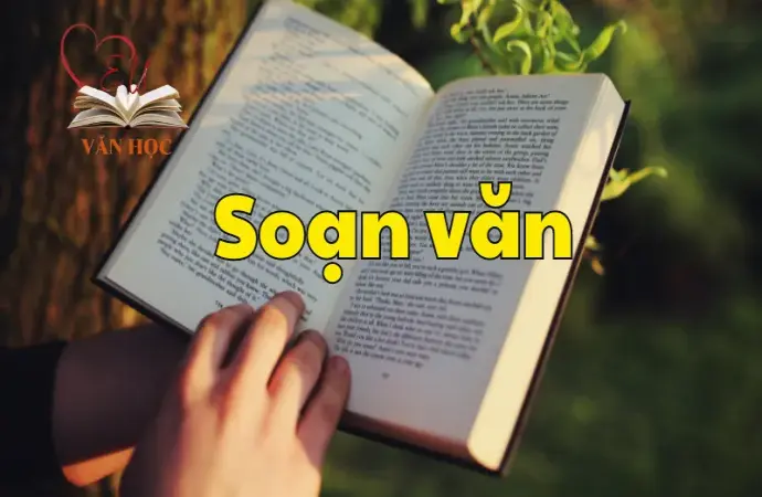 Soạn bài Viết bài văn nghị luận bàn về một vấn đề liên quan đến tuổi trẻ (Cách ứng xử trong các mối quan hệ gia đình, xã hội)- Ngữ văn 12 tập 2 - Kết nối tri thức