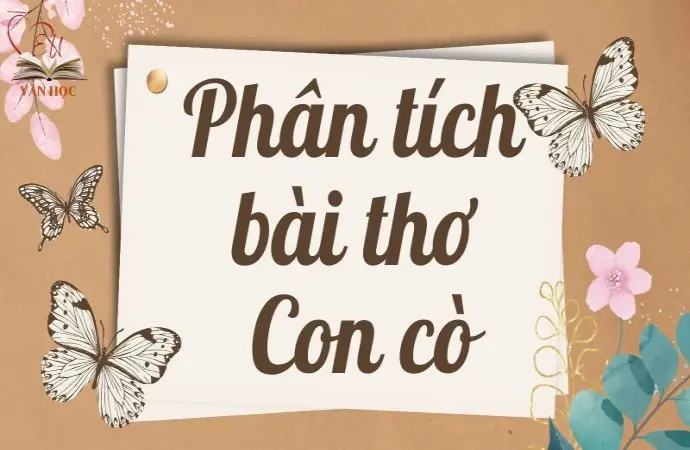 Phân tích bài thơ Con cò lớp 9 chi tiết và dễ hiểu nhất