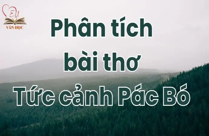 Bài mẫu phân tích bài thơ Tức cảnh Pác Bó lớp 9 chọn lọc