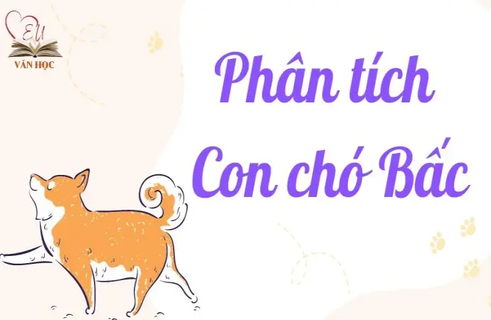 Hướng dẫn phân tích Con chó Bấc lớp 9 đạt điểm cao